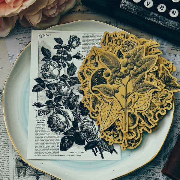 Kraft Botanical Illustration Stickers Pack