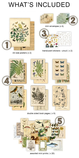 Natural Science Themed Ephemera Kit