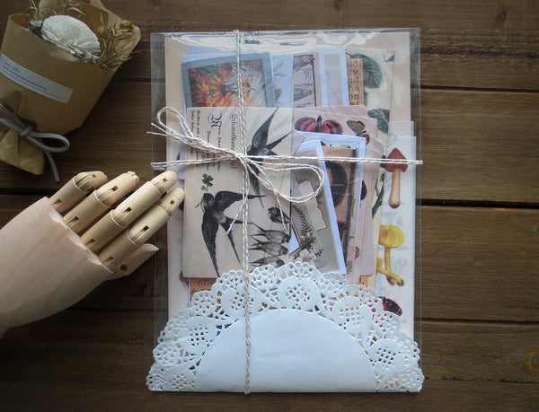 Natural Science Themed Ephemera Kit