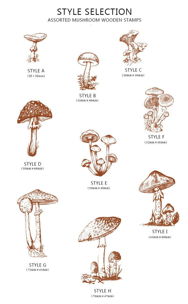 Mushroom Etchings Wooden Stamp