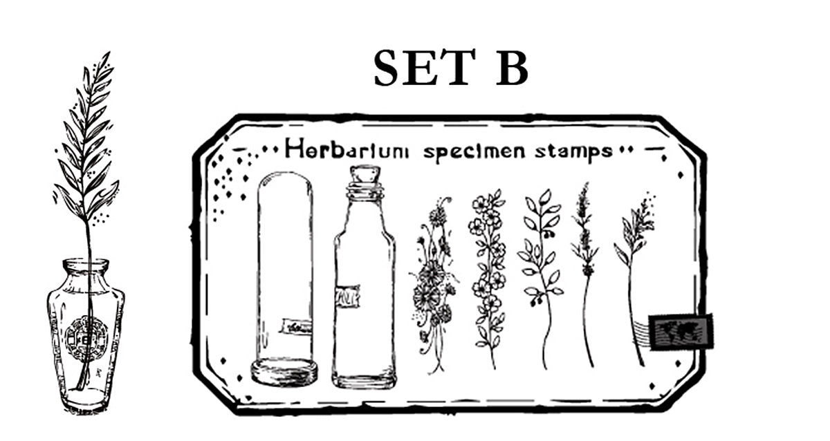 Herbarium Wooden Stamps Set