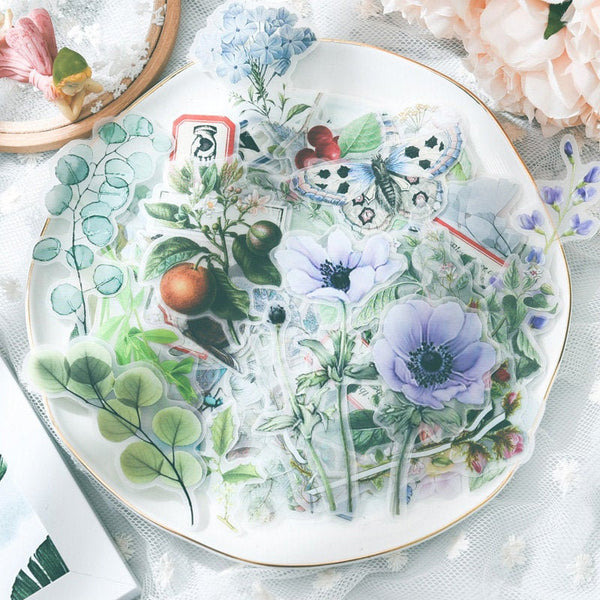 Natural Science Illustration Stickers Pack A