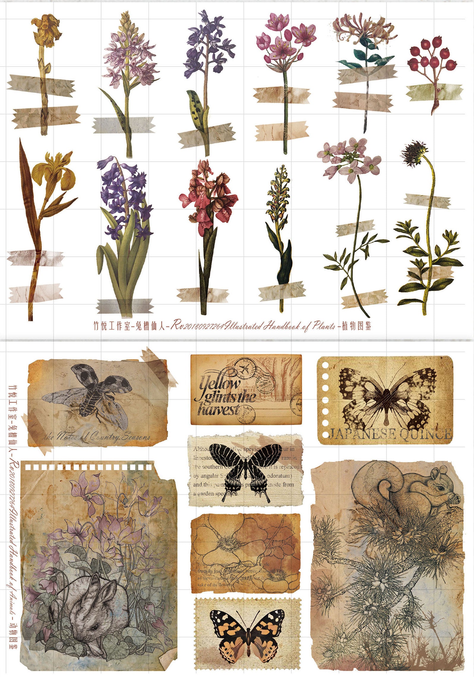 Illustrated Handbook of Plants Planner Sticker Sheet