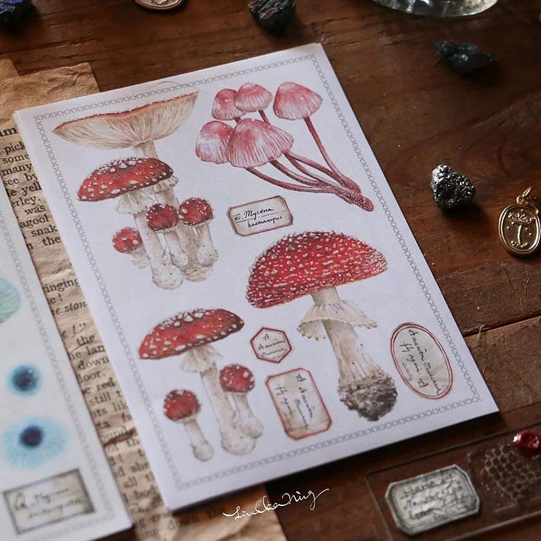 LCN Design Studio: Mushrooms Sticker Sheets Set