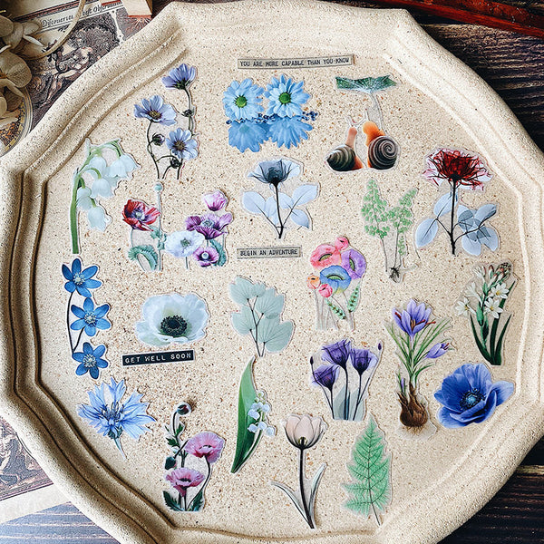 Natural Science Illustration Stickers Pack C