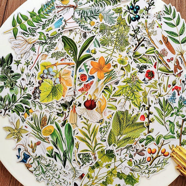 Botanical Illustration Stickers Pack