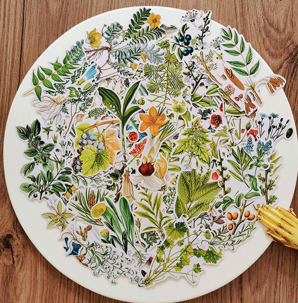 Botanical Illustration Stickers Pack
