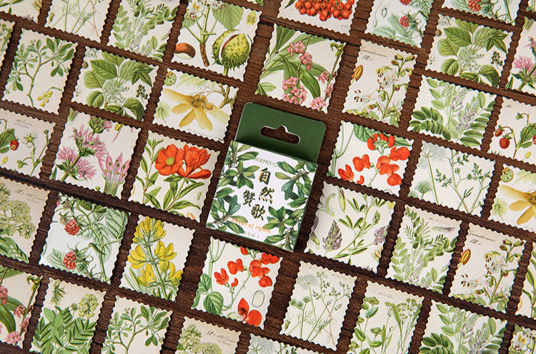 Botanical Illustration Stamps Box Sticker Set