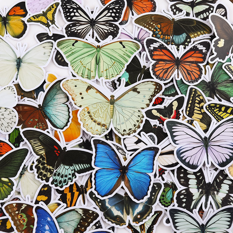 Vinyl Butterfly Stickers Pack