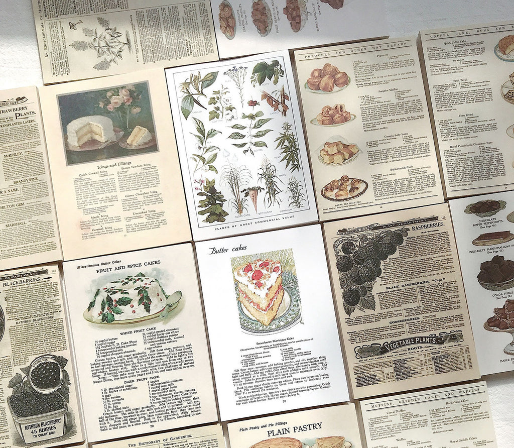 Vintage Memo Paper Sampler Pack