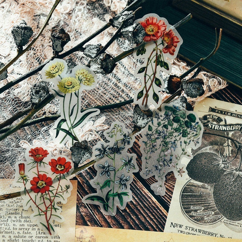 Natural Science Illustration Stickers Pack D