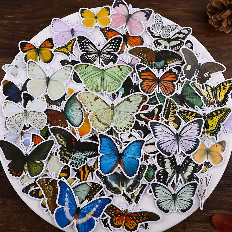 Vinyl Butterfly Stickers Pack
