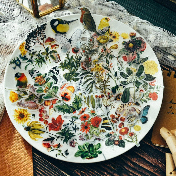Natural Science Illustration Stickers Pack E