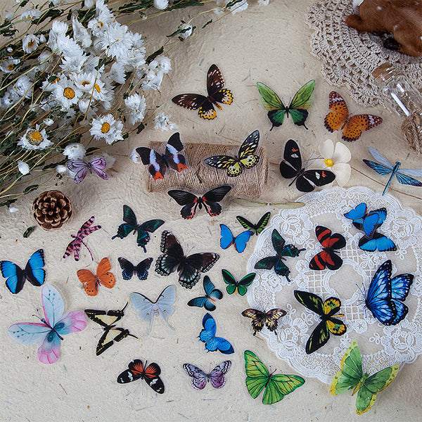 Butterfly Specimen Clear Stickers
