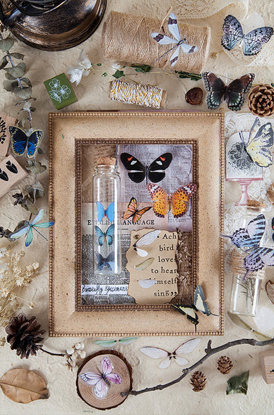 Butterfly Specimen Clear Stickers