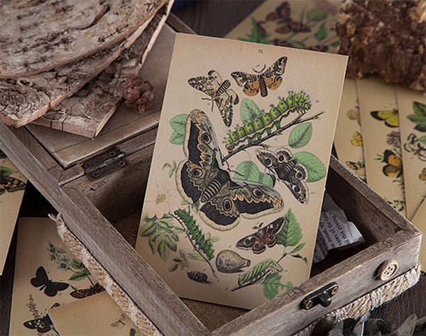 Botanical Decoupage Paper