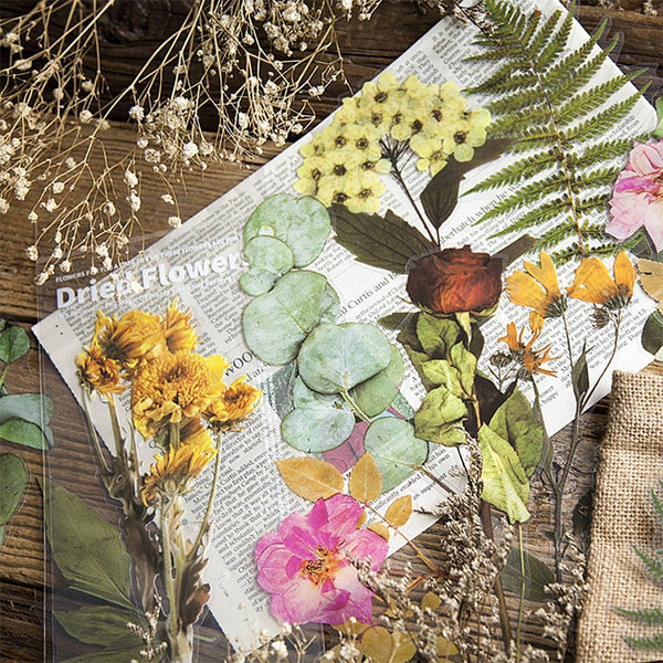 Extra-Large Dried Flowers Clear Stickers
